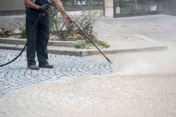 Best Gutter Cleaning  in Portales, NM