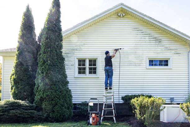 Reliable Portales, NM Pressure washing Solutions